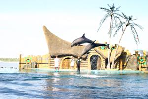 秦皇島市山海關歡樂海洋公園全國汽車自駕遊活動基地